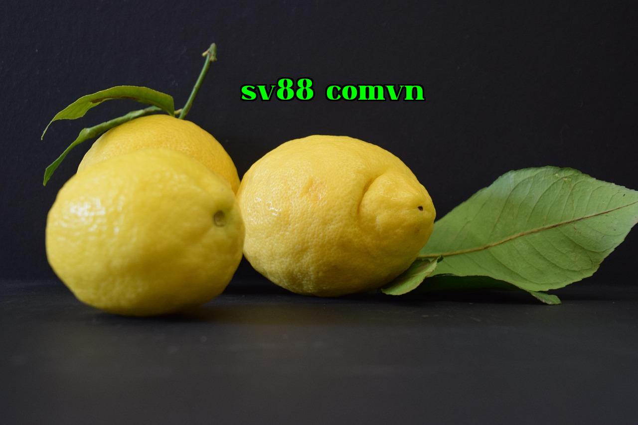 Nỗi Lo Về Nền Tảng - sv88 comvn
