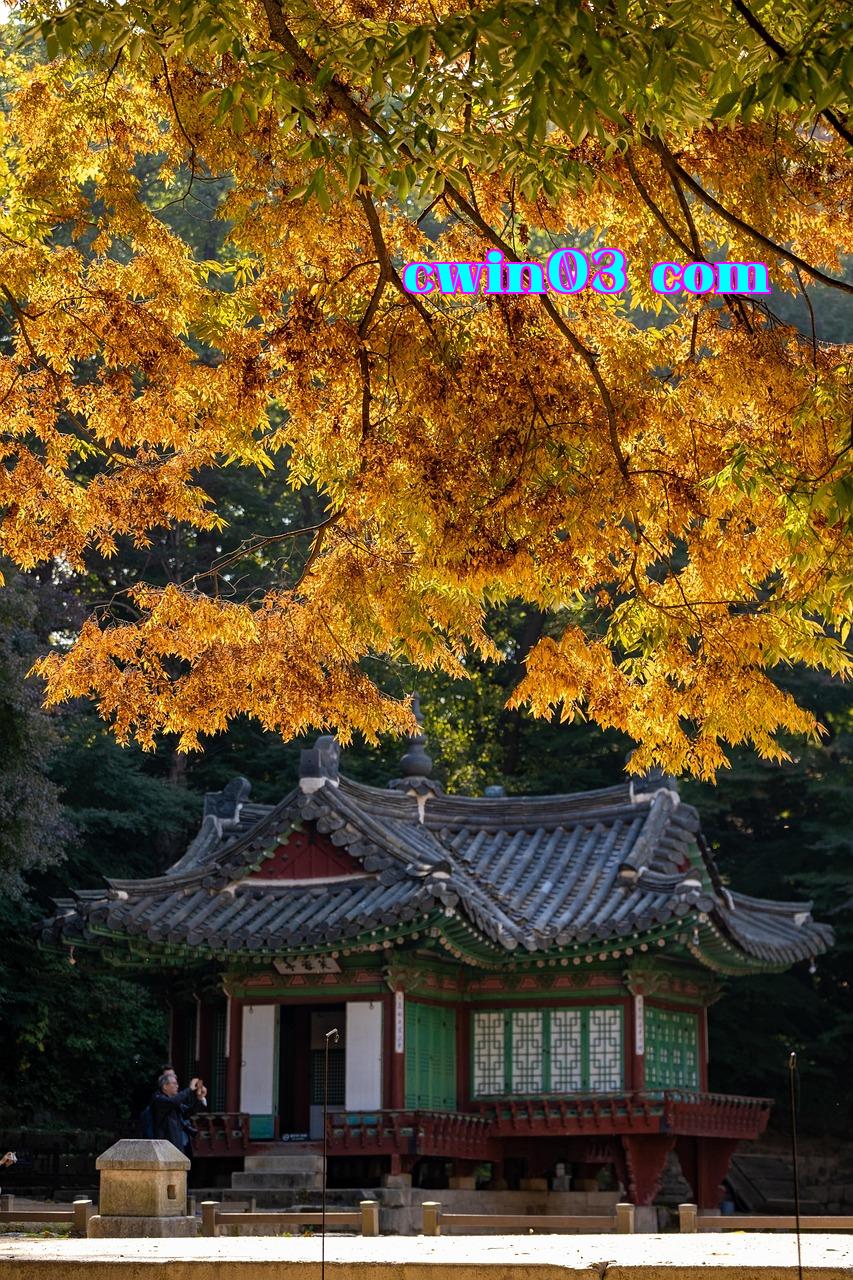 Giai đoạn đặt lại về không - iwin58