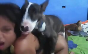 passionate sex, asian bestiality