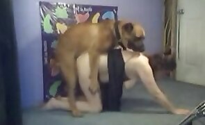 dog sex, animal fuck porn